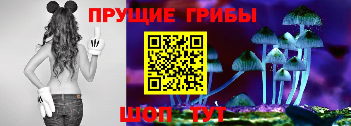 Псилоцибиновые грибы ЛСД Новоуральск