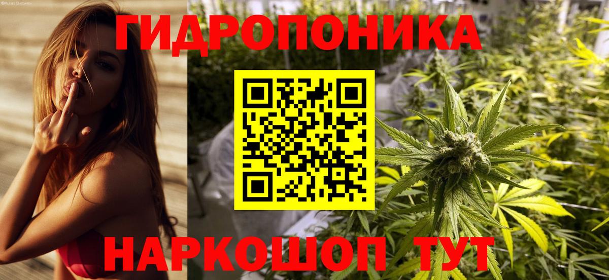 Бошки марихуана Bruce Banner Новоуральск